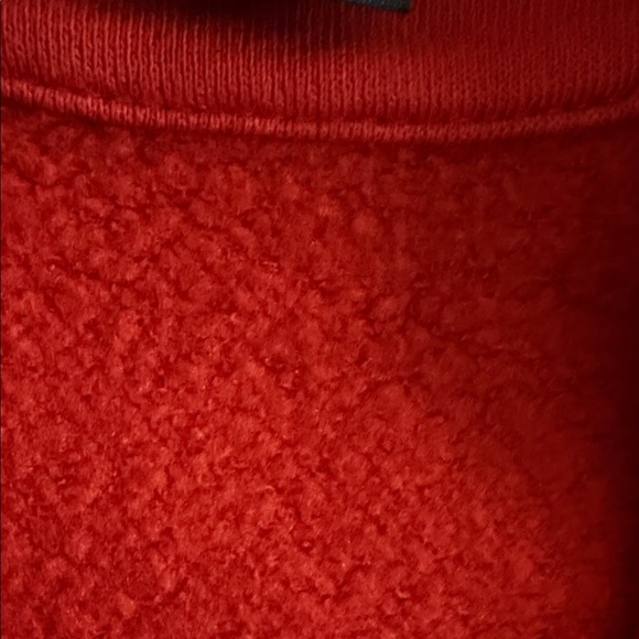 Polo Ralph Lauren Arctic Fleece Polo Pullover - Picture 6 of 9